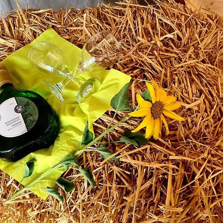 Seinsheim Schlaffass Mit Wellness In Alter Scheune מראה חיצוני תמונה